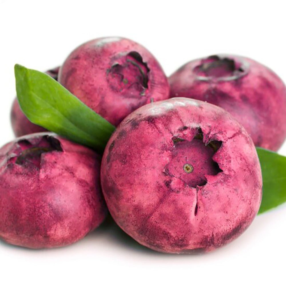 Afin Pink Lemonade (Vaccinium), cu fructe roz-rosu dulci-acrisoare