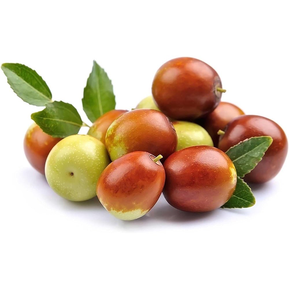 Curmal Chinezesc (Ziziphus jujuba), cu fructe dulci