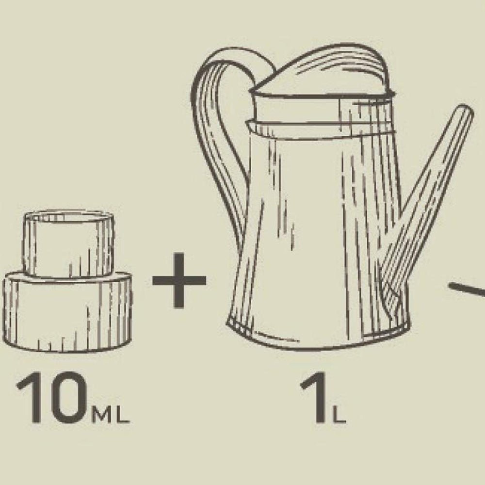 Fertilizator Lichid POKON pentru Ficus 250 ml