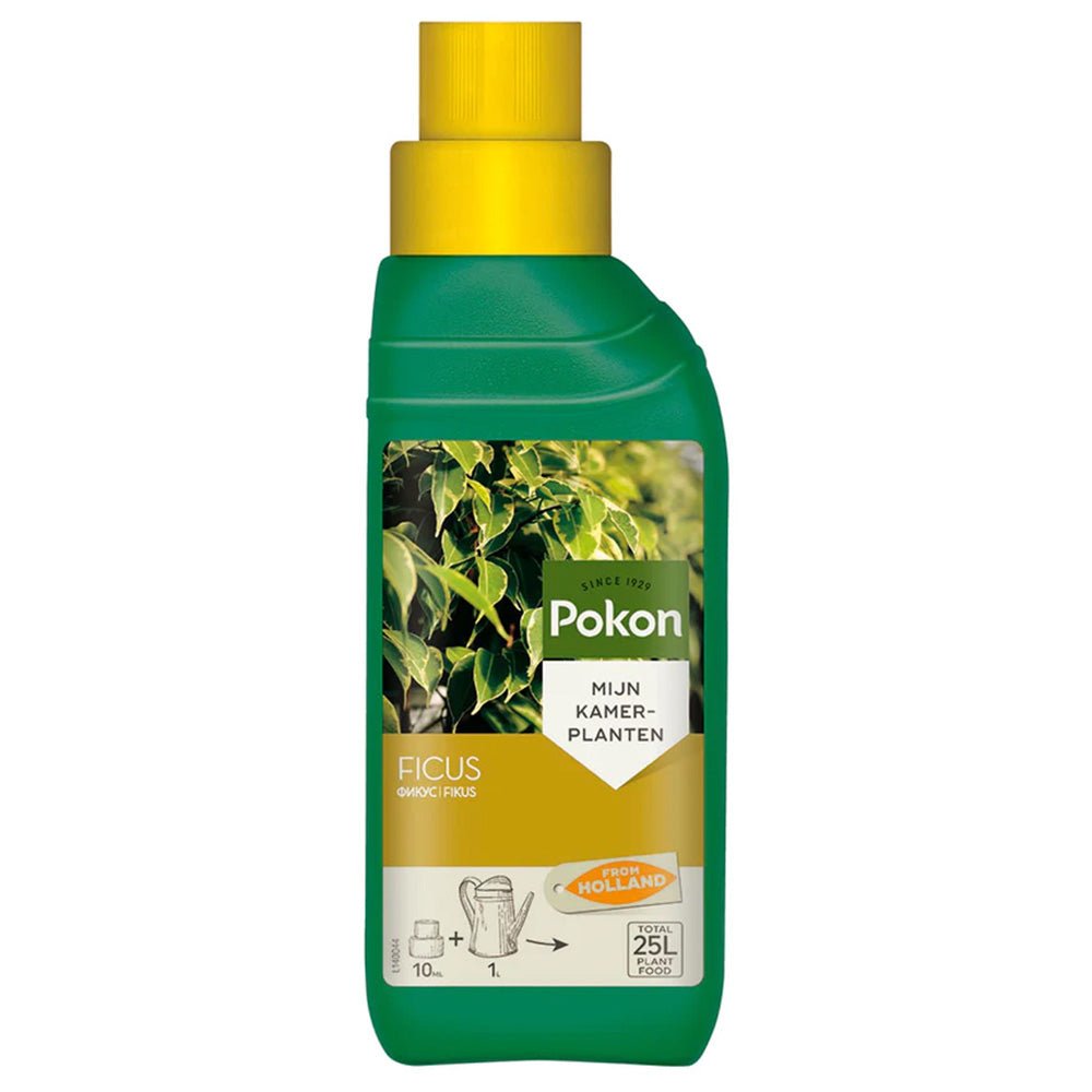 Fertilizator Lichid POKON pentru Ficus 250 ml