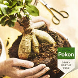 Fertilizator Lichid POKON pentru Bonsai 250 ml - VERDENA-250 ml
