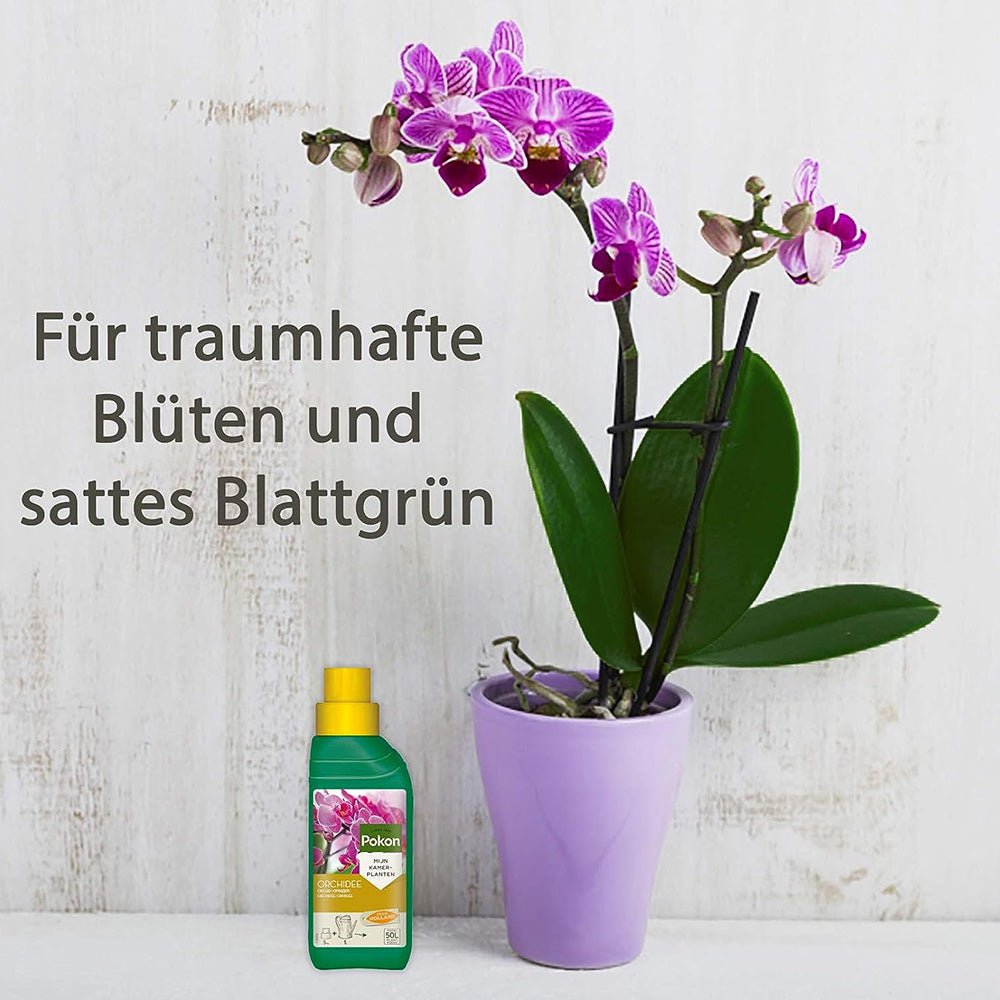 Fertilizator Lichid POKON pentru Orhidee 250 ml