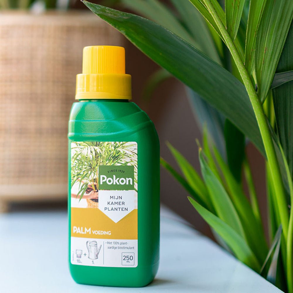 Fertilizator Lichid POKON pentru Palmier 250 ml
