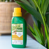 Fertilizator Lichid POKON pentru Palmier 250 ml - VERDENA-250 ml