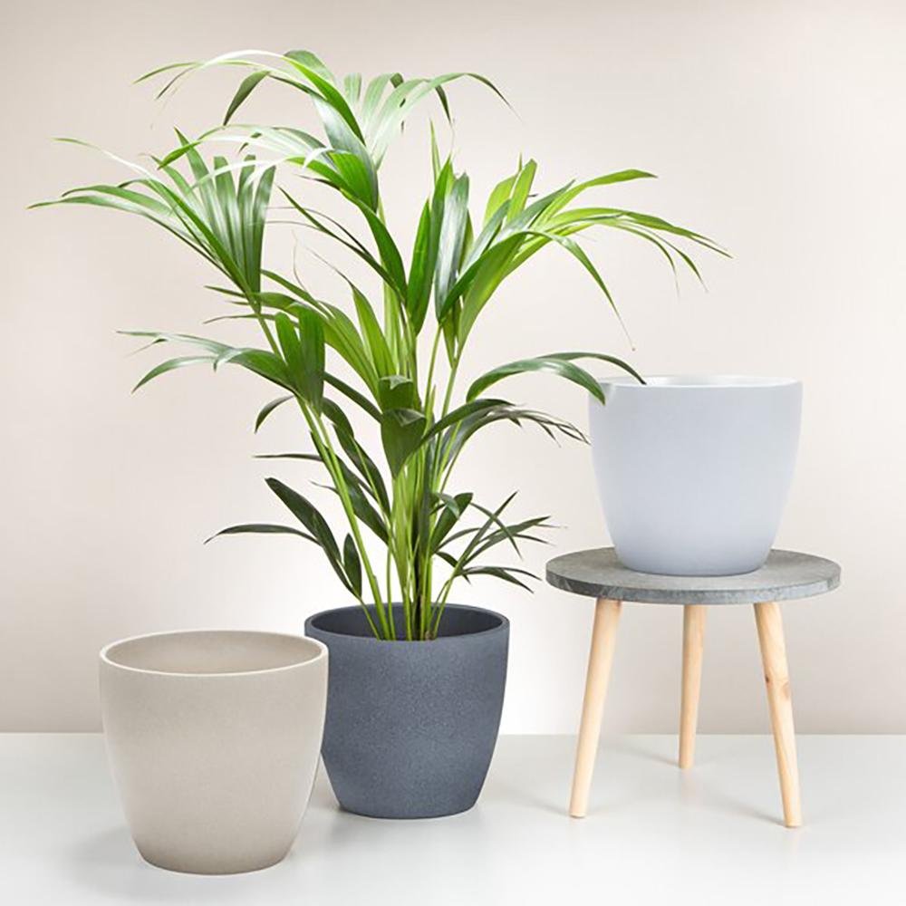 Ghiveci plante rotund Ceramic Scheurich, Ø 11 cm, H10 cm, Bej