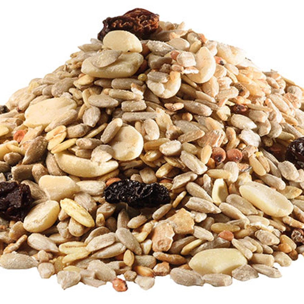 Hrana pentru pasari salbatice PANTO Power Mix, fara coji, cu pluramin, 1.7kg