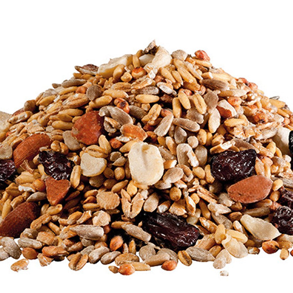 Hrana premium pentru pasari salbatice PANTO, fara coji, 0.9kg