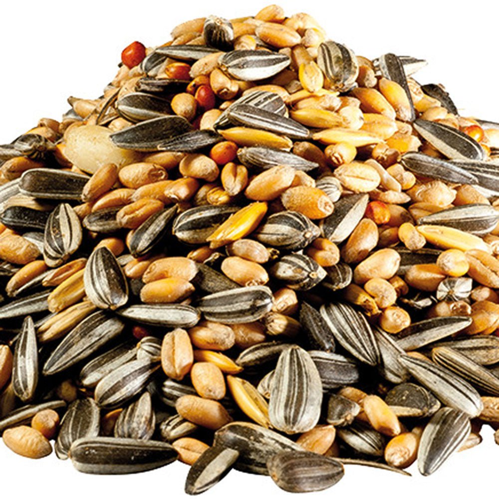 Hrana simpla de pasari salbatice PANTO, 1kg