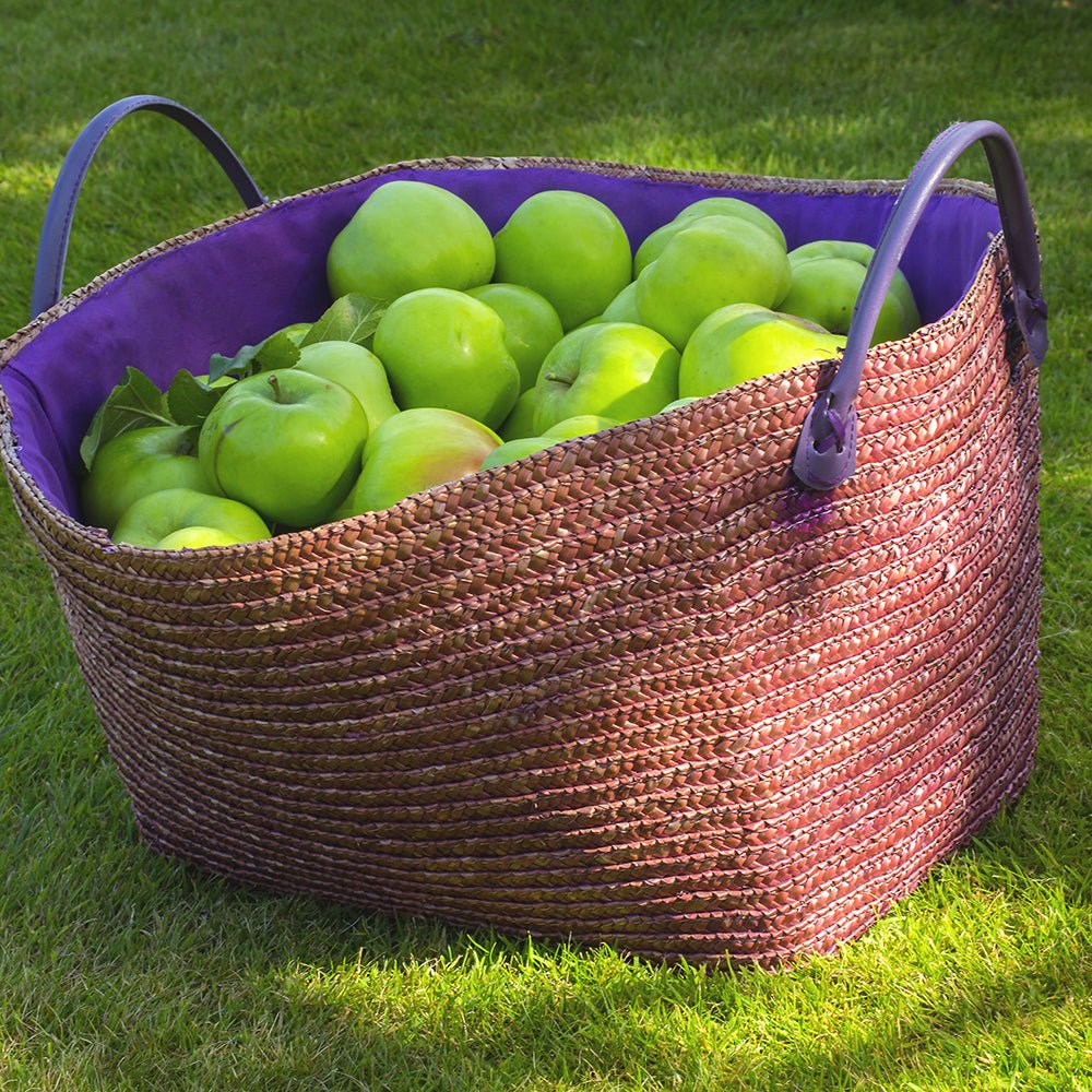 Mar Bramley'S Seeding