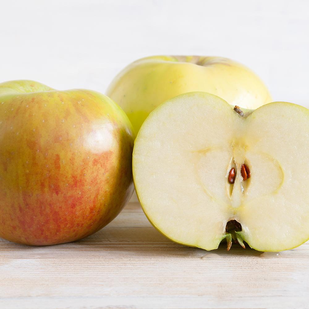 Mar Bramley'S Seeding