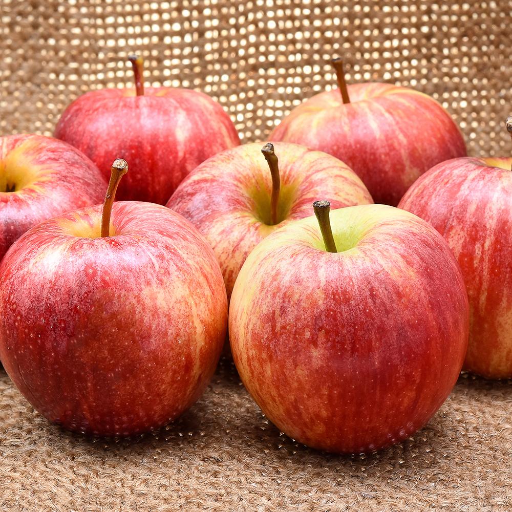 Mar Jonagold (Malus domestica), cu fructe dulci-acrisor