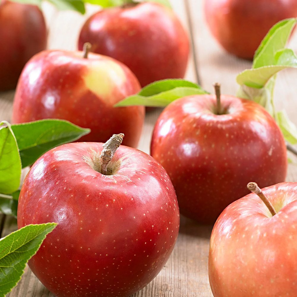 Mar Jonagold (Malus domestica), cu fructe dulci-acrisor