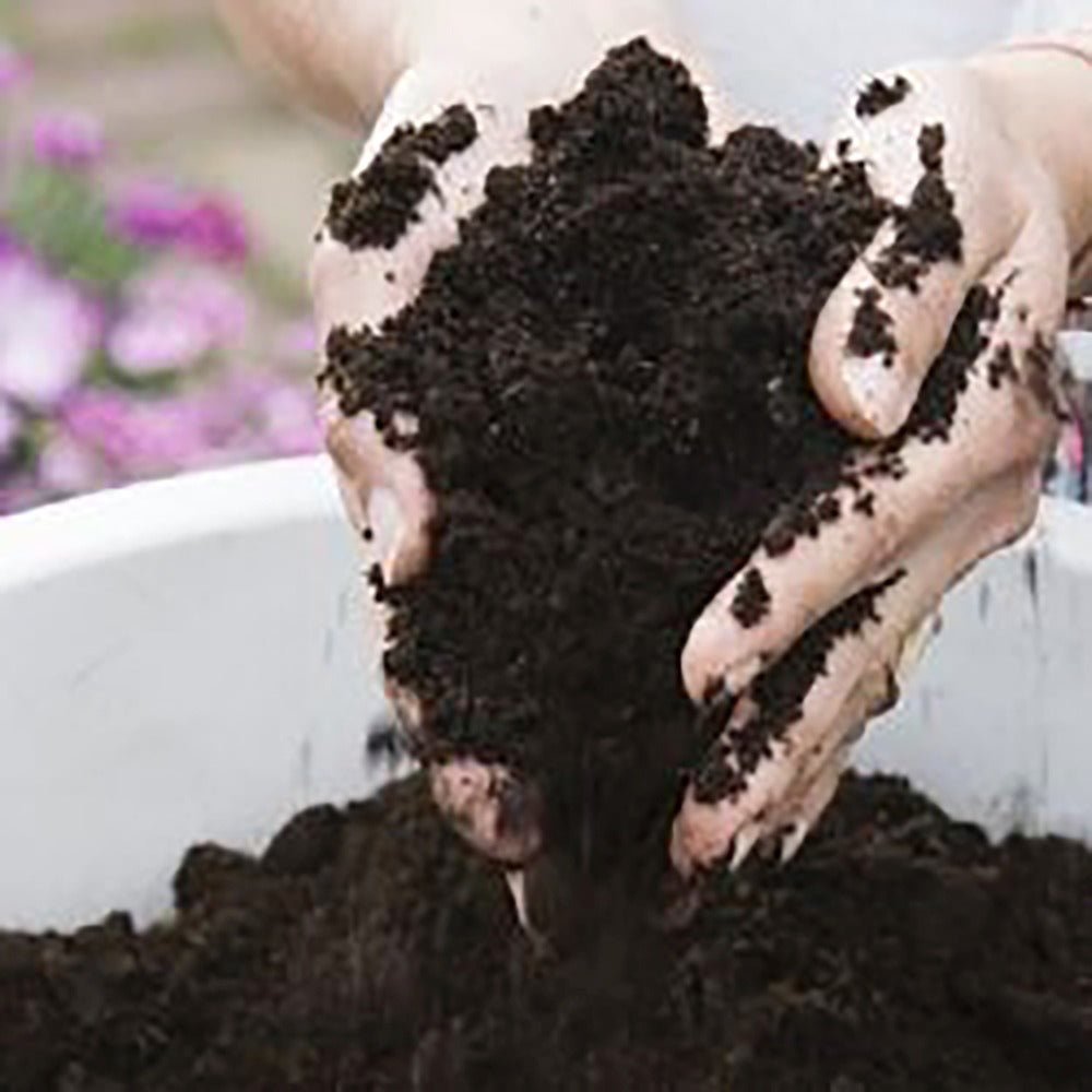 Pamant universal pentru Plante de Interior 10 l