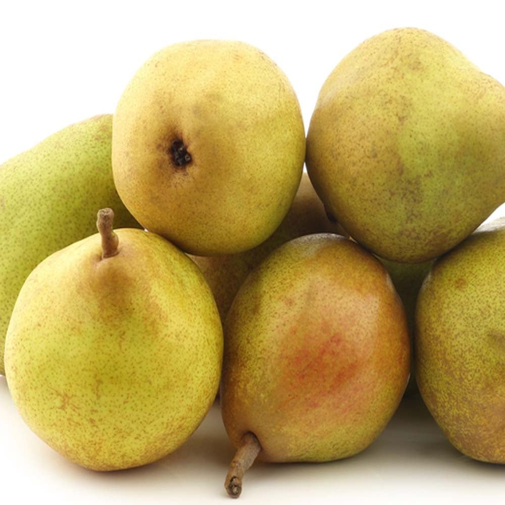 Par (Pyrus Communis) Comice, cu fructe dulci rafinat