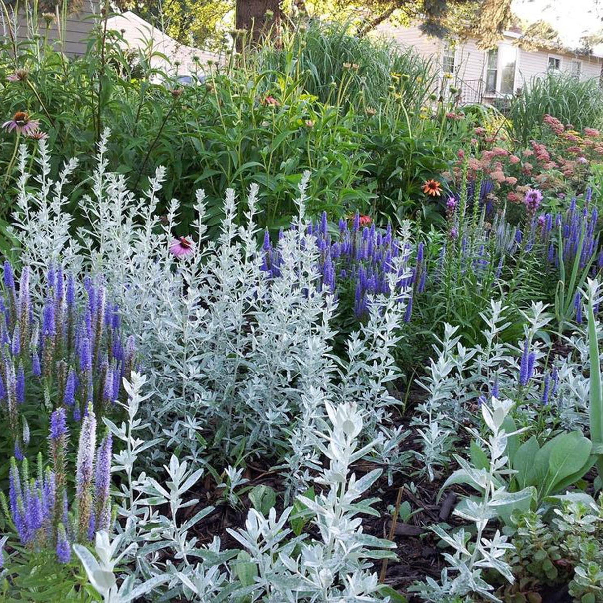 Pelinul Powis Castle