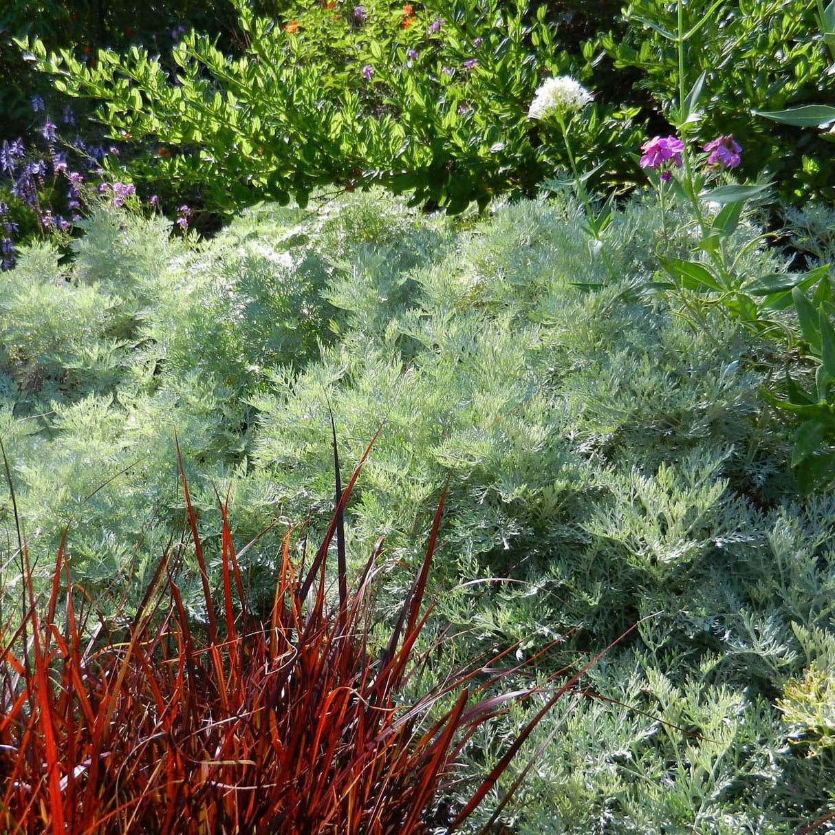 Pelinul Powis Castle