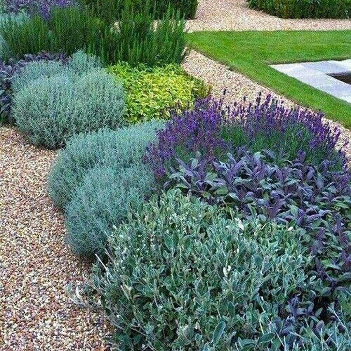 Pelinul Powis Castle