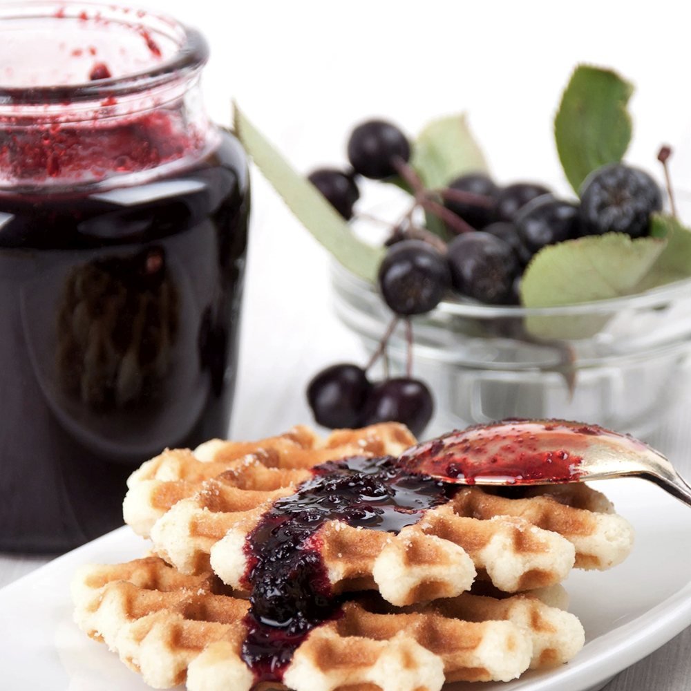 Scorus Negru (Aronia melanocarpa), cu fructe negre pline de vitamine