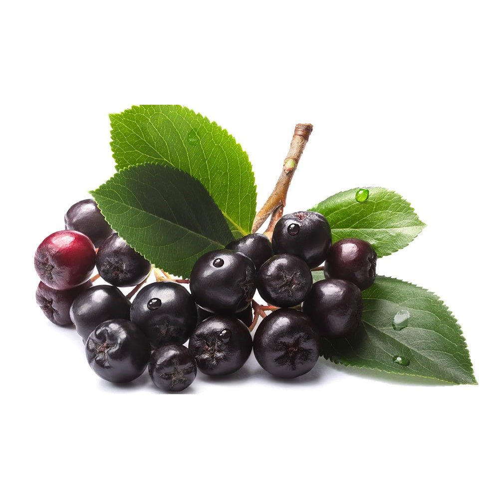 Scorus Negru (Aronia melanocarpa), cu fructe negre pline de vitamine