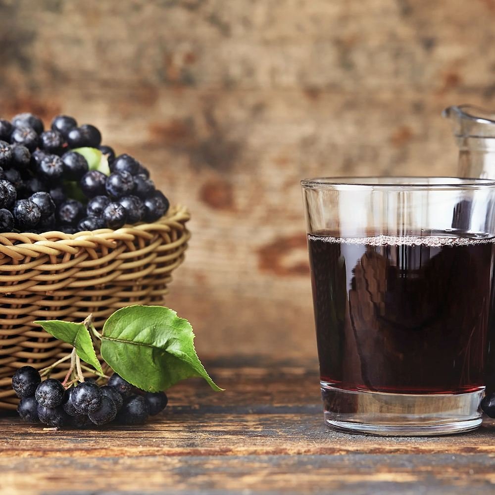 Scorus Negru (Aronia melanocarpa), cu fructe negre pline de vitamine