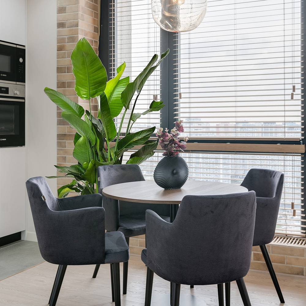 Strelitzia nicolai (Pasarea alba a paradisului) - 290 cm