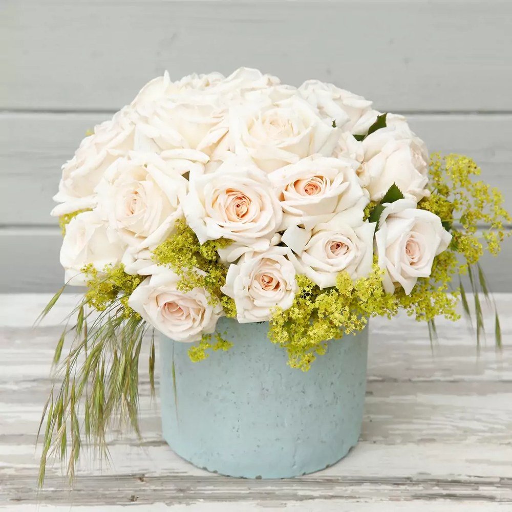 Trandafir Floribunda roz-pal Grafin Elke zu Rantzau, cu parfum intens