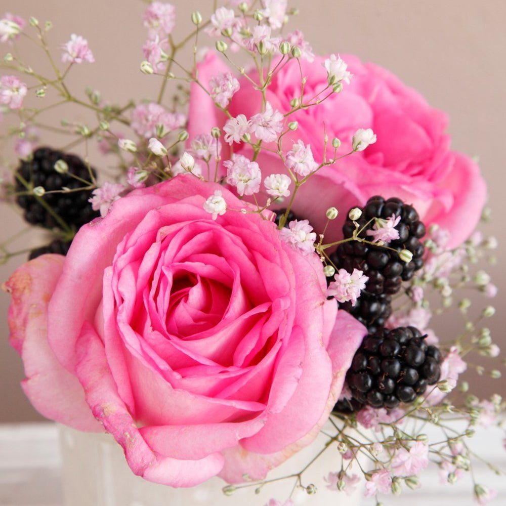 Trandafir Teahibrid roz Beverly, parfum intens