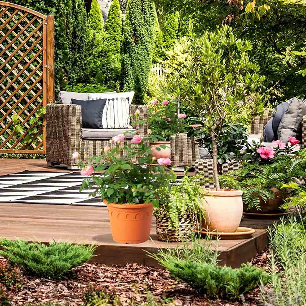 Trandafir Teahibrid roz-somon Chippendale, cu parfum intens