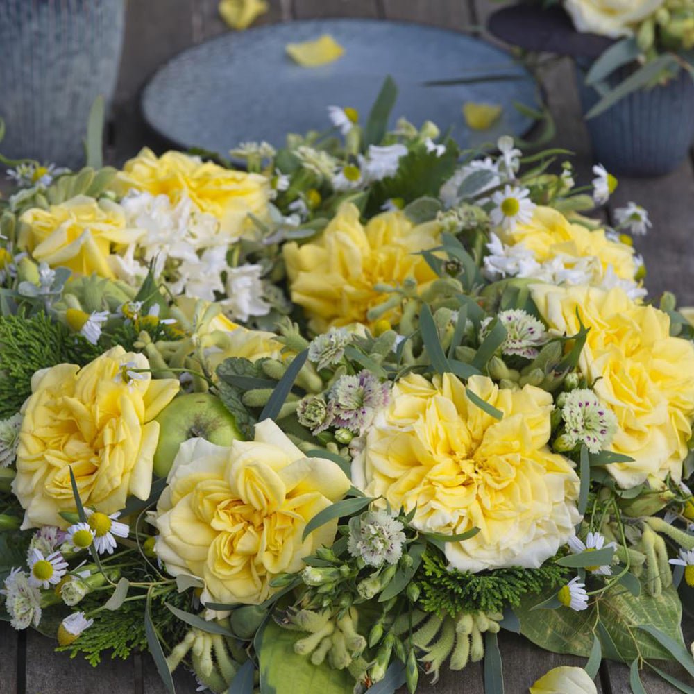 Trandafir Tufa galben Sterntaler, parfum intens