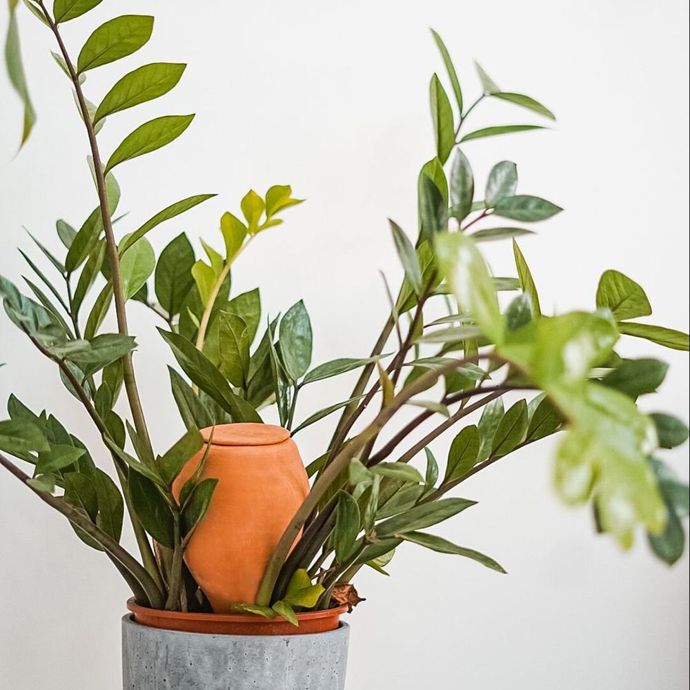 Vas decorativ portocaliu LUTOYA de auto-udare plante, ceramic, lut, natural, 350 ml - VERDENA-15 cm x 9 cm, 350 ml