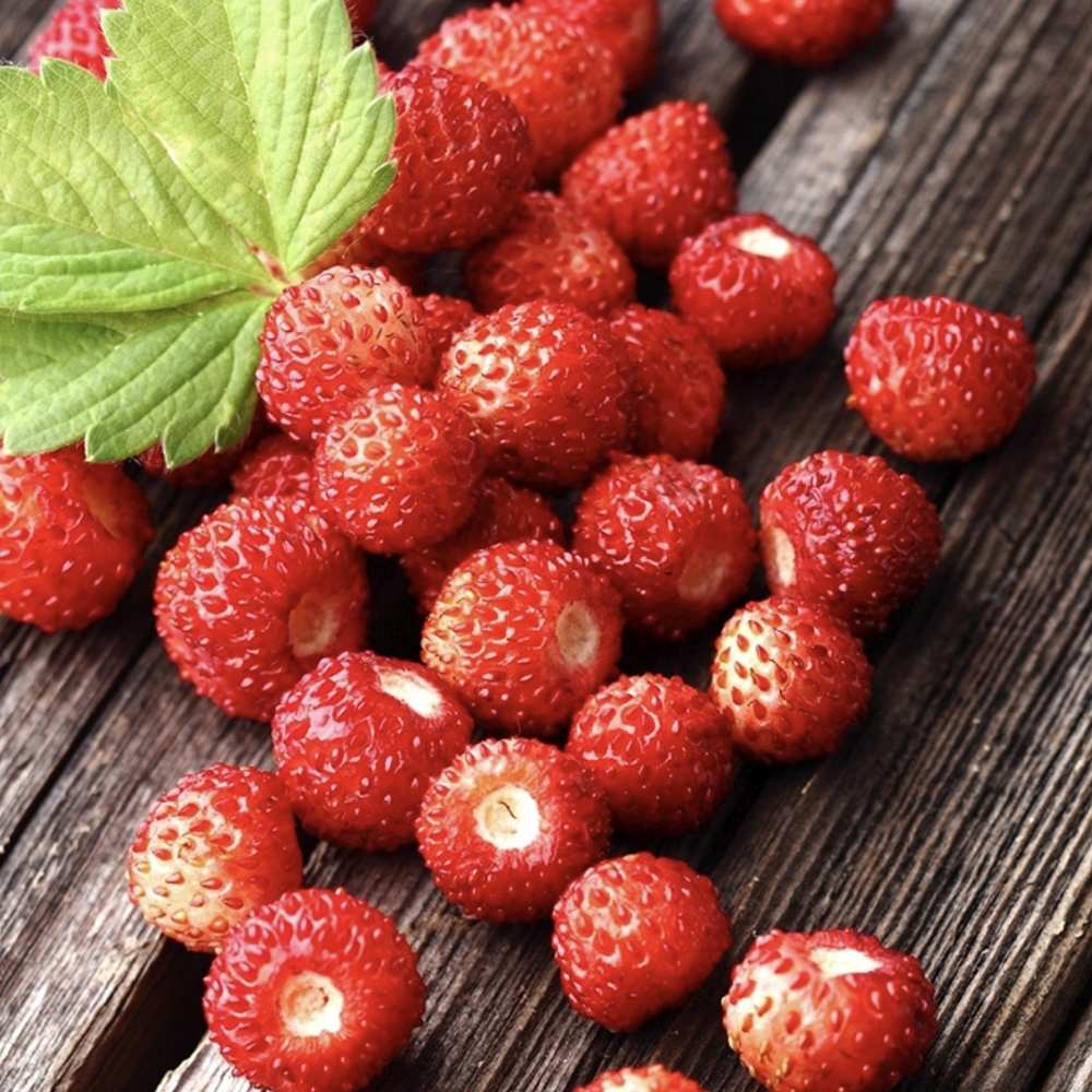 Zmeur Two Timer Sugana (Rubus idaeus), cu fructe dulci