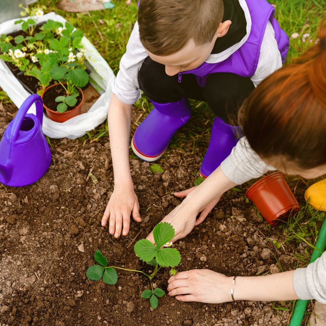 Activitati recreative alaturi de copii si plantele tale vara - VERDENA