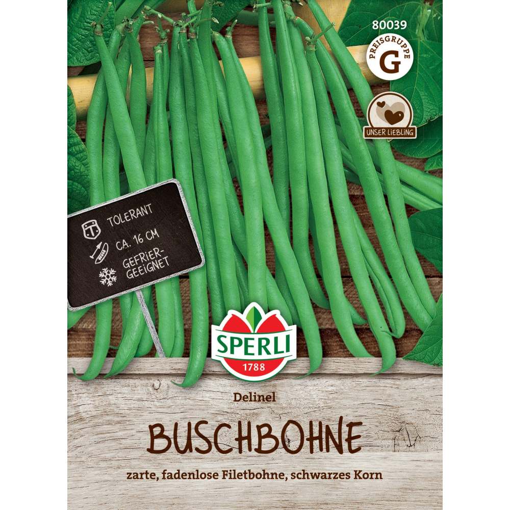 Seminte fasole pitica Delinel