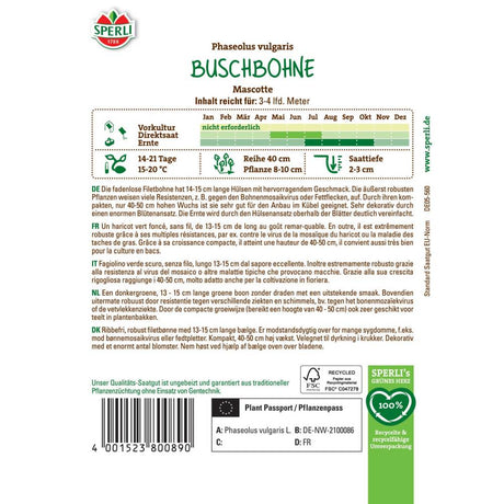 Seminte fasole pitica Mascotte