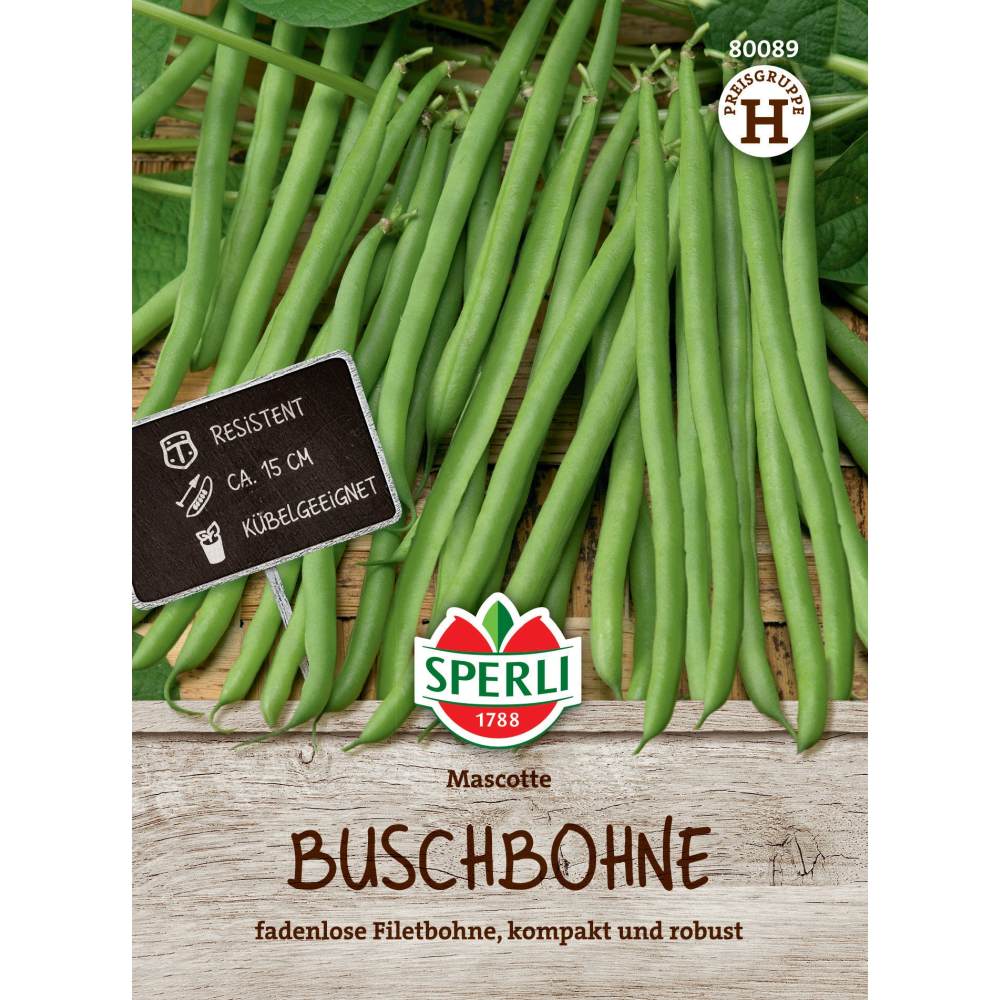 Seminte fasole pitica Mascotte