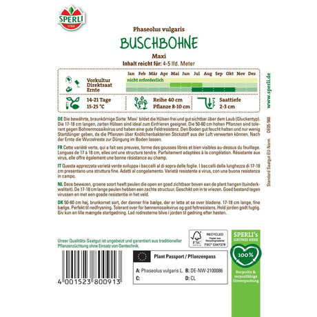 Seminte fasole pitica Maxi sperli