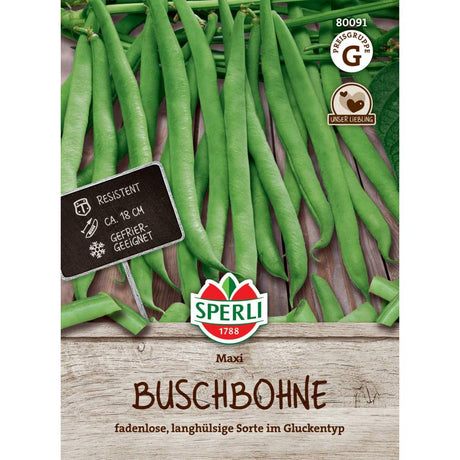 Seminte fasole pitica Maxi sperli