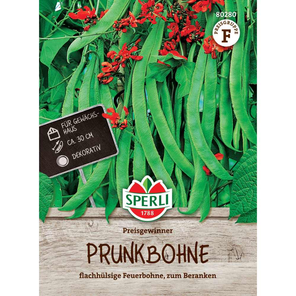 Seminte fasole urcatoare Preisgewinner