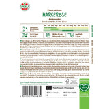 Seminte mazare Ambassador