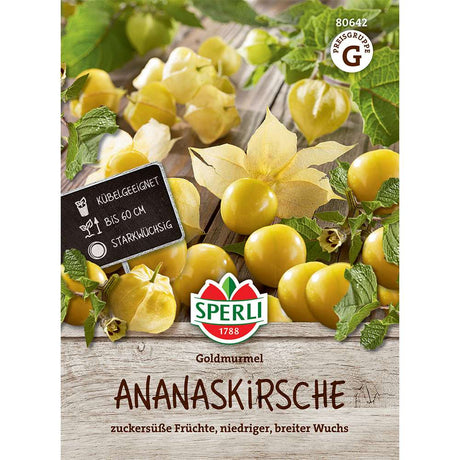 Seminte de physalis ananas Gold Marble – fructe aromate si decorative, ajunge pentru 10 Plante