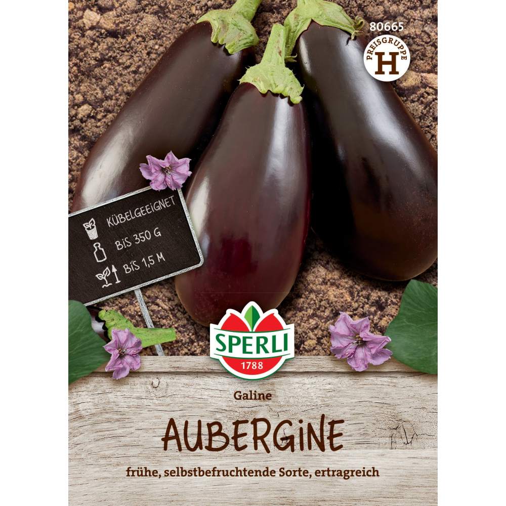 Seminte de vinete Galine