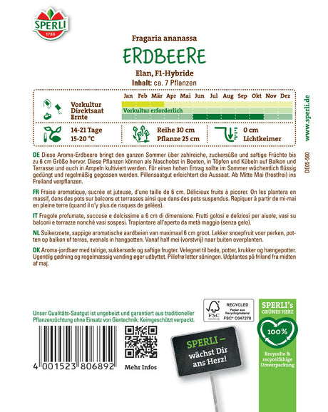 Seminte capsuni Elan