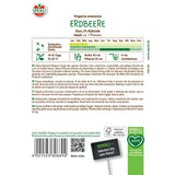 Seminte capsuni Elan