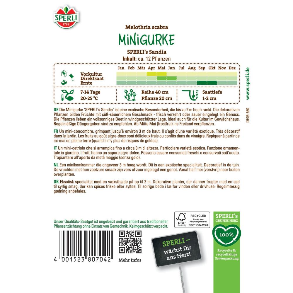 Seminte castraveti mici SPERLI Sandia