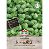 Seminte castraveti mici SPERLI Sandia