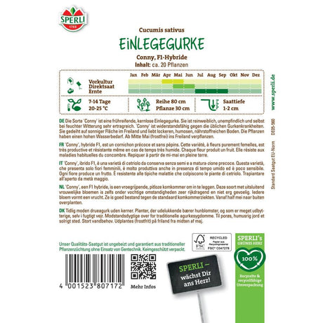 Seminte castraveti pentru murat Conny