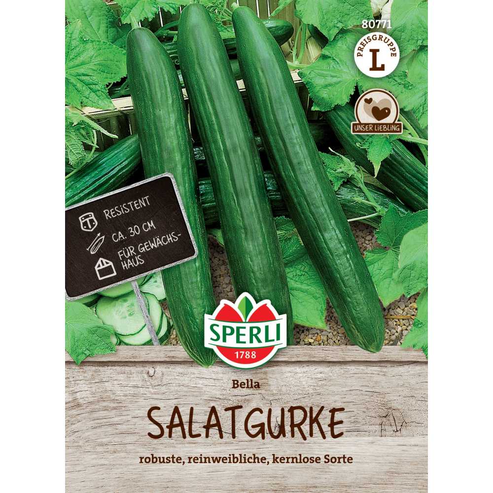 Seminte castraveti salata Bella