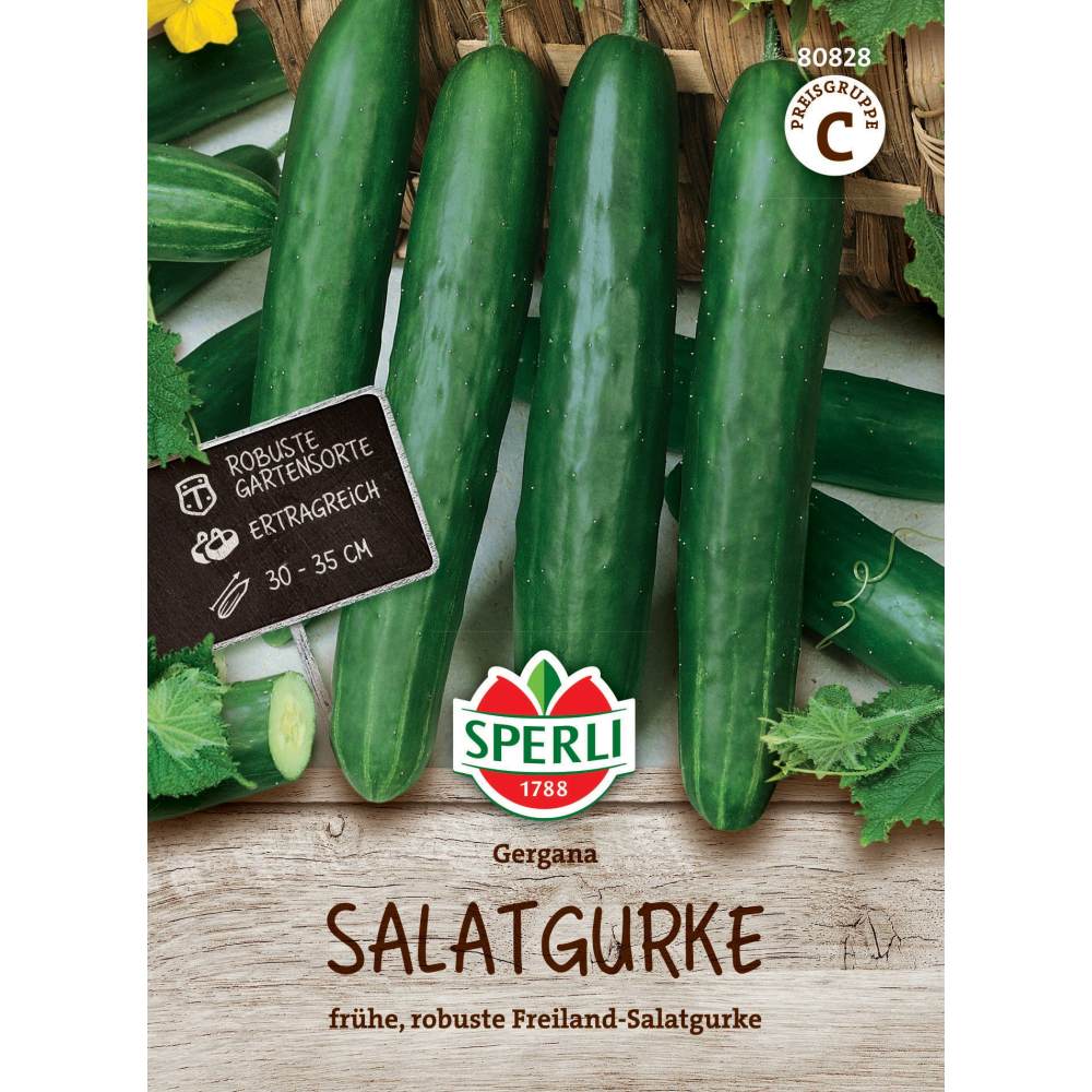 Seminte castraveti Gergana