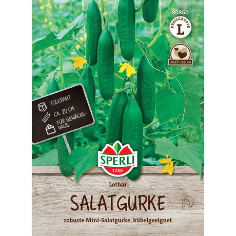 Seminte castraveti salata Lothar