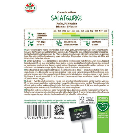 Seminte castraveti salata Paska